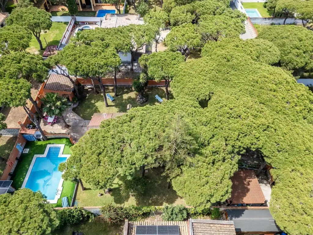 Jardí de Casa o xalet en venda en Chiclana de la Frontera amb Aire condicionat, Calefacció i Jardí privat