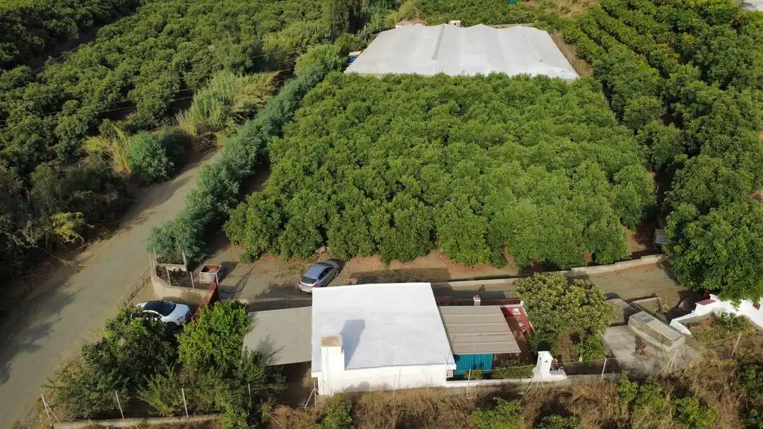 Vista exterior de Casa o xalet en venda en Benamocarra amb Jardí privat i Moblat