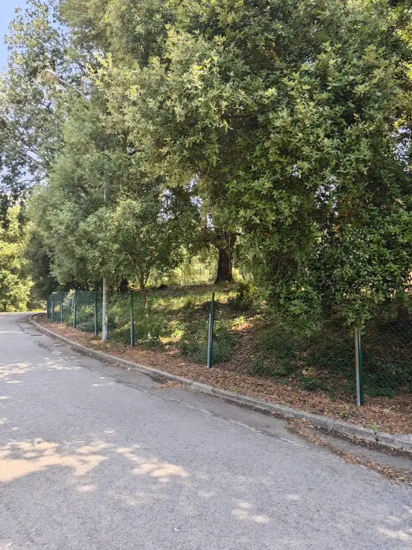 Terrenys i solars en venda a DE SALVADOR ESPRIU, imagen 60