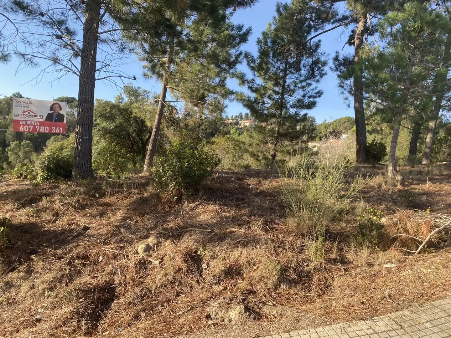 Terreno residencial en venta en Calle Lirios 23, imagen 27