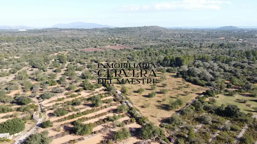 Terreno rustico in vendita a Cervera del Maestre, imagen 8