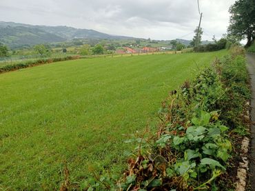 Terreno rustico in vendita a Carretera de Vare Sin número