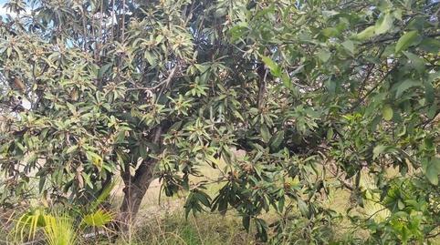 Photo 3 of Country house for sale in Albatalia,  Murcia Capital