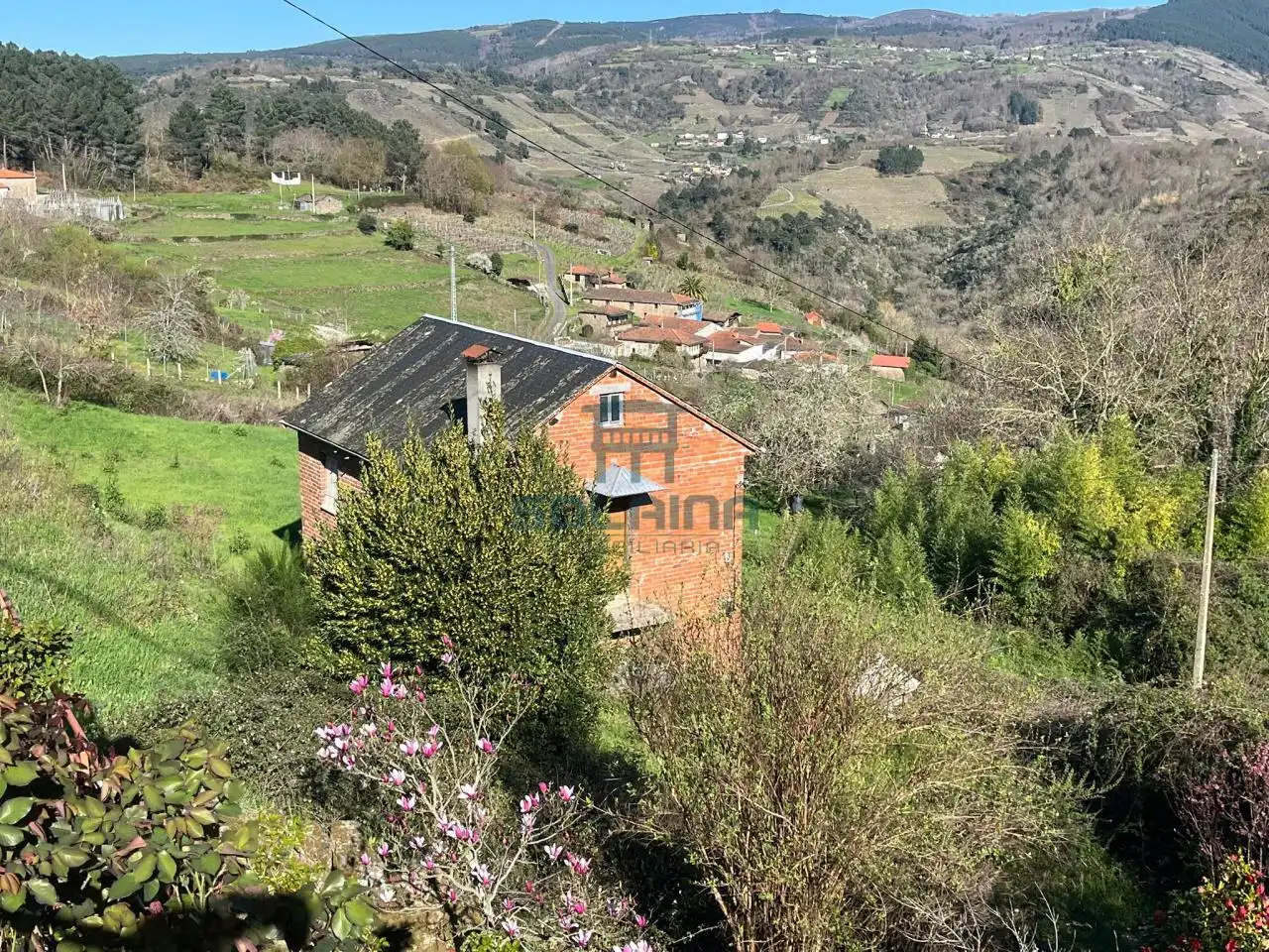 Vista exterior de Casa o xalet en venda en A Teixeira  amb Jardí privat