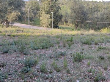 Terreno residenziale in vendita a Carrer del Baix Llobregat 805