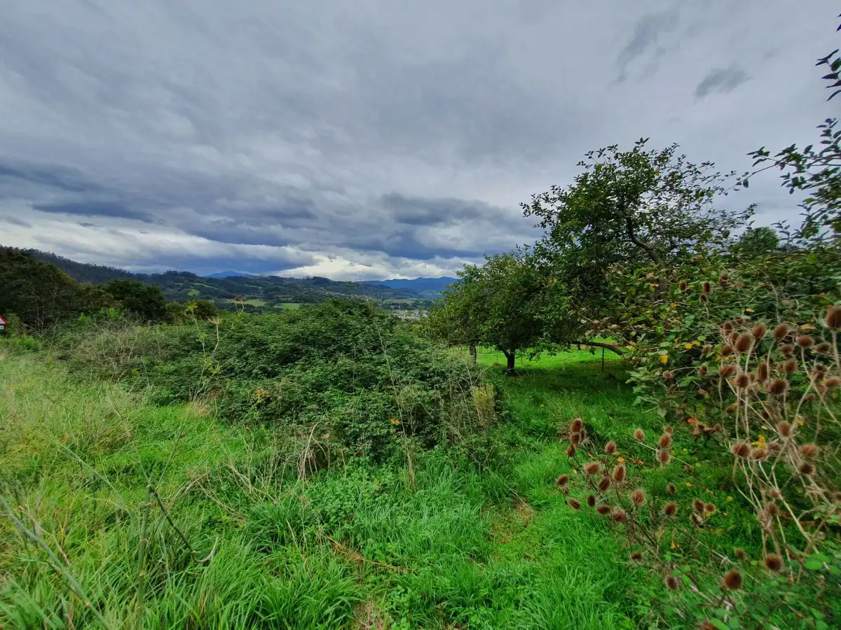 Terreno residencial en venta en Candamo, imagen 2