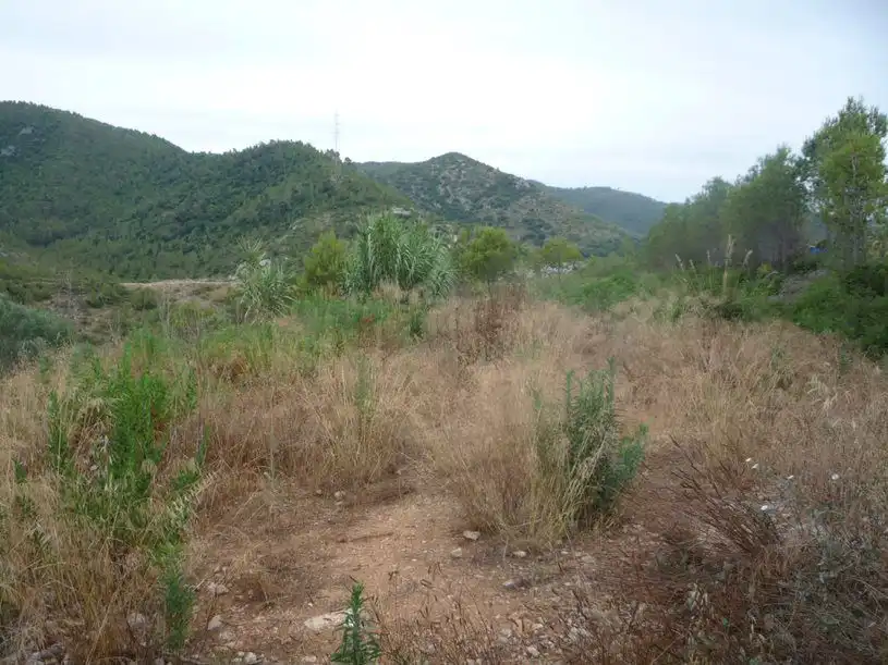 Terreny residencial en venda a Avinyonet del Penedès, imagen 2