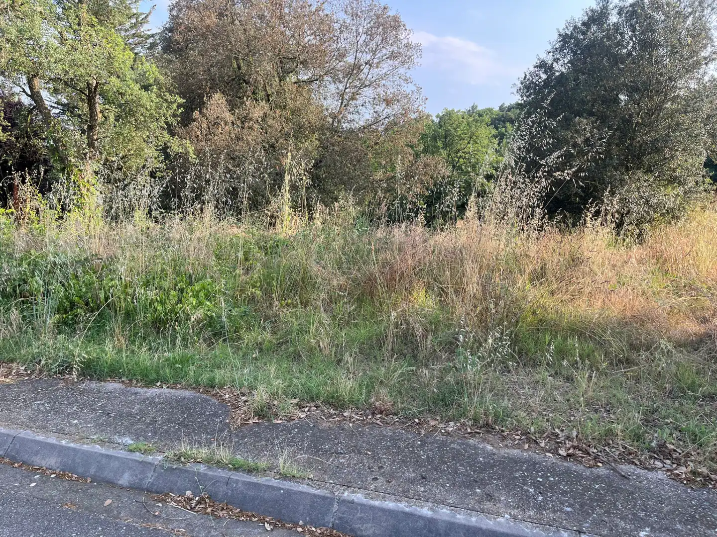 Residencial en venda en Bescanó