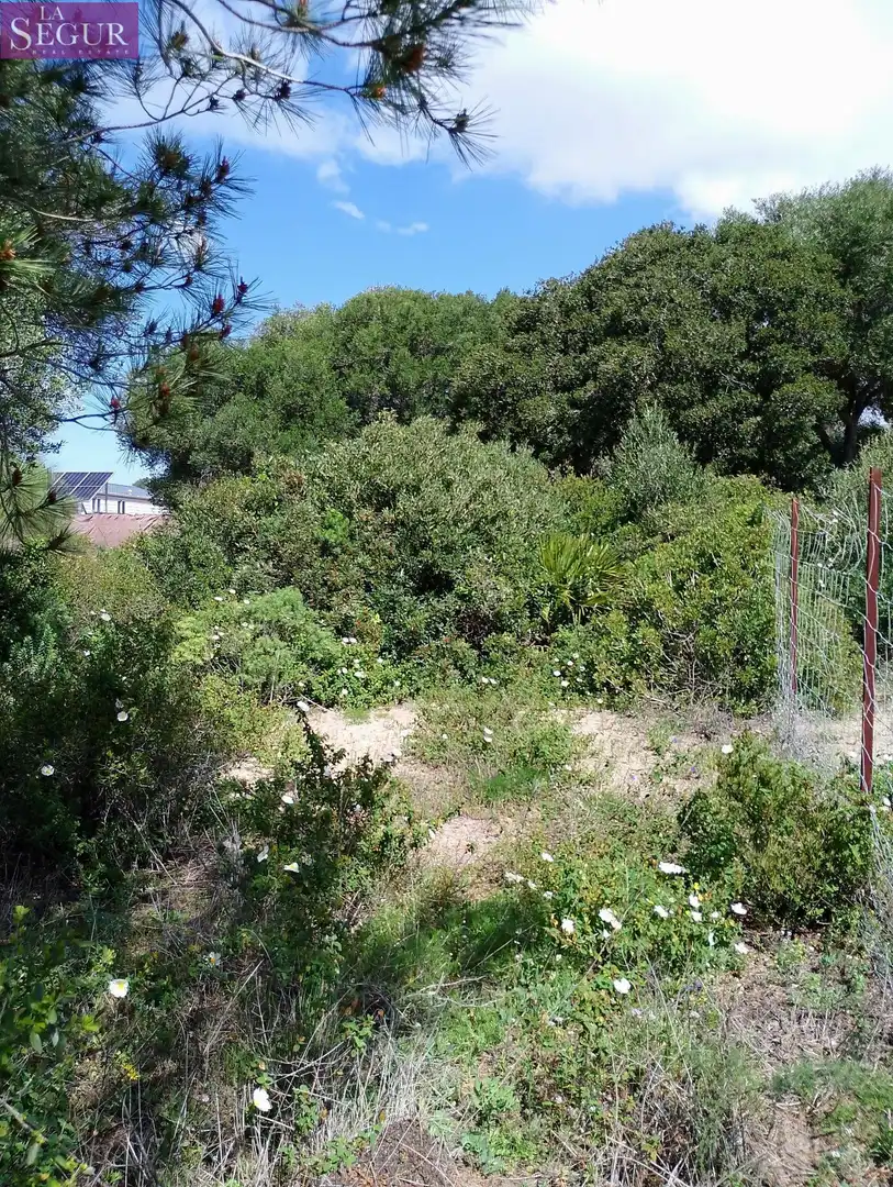 Terreno rustico in vendita a Barbate ciudad, imagen 6