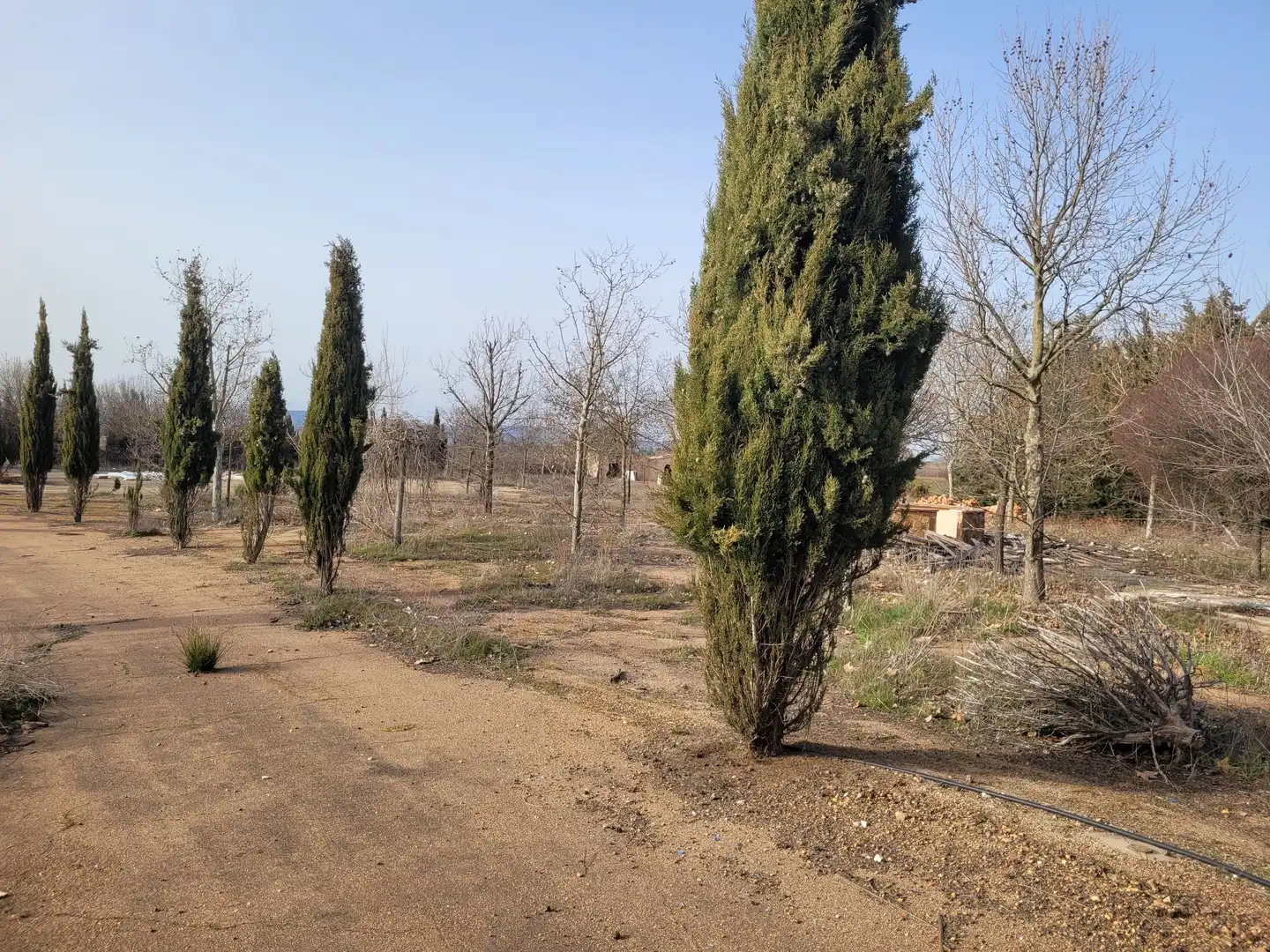 Buildings for sale in Porzuna