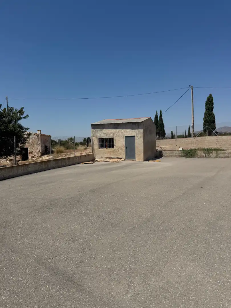 Vista exterior de Finca rústica en venda en Elche / Elx