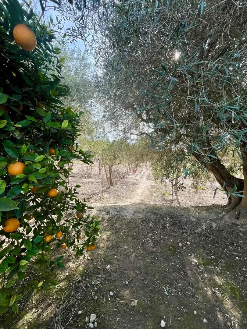 Grundstücke und Bauplätze zum Verkauf in Oria, imagen 13