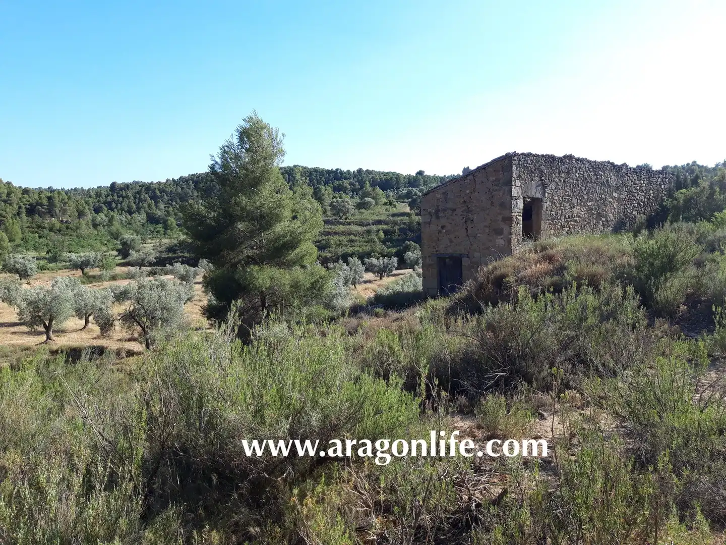 Terreni e lotti in vendita a Mazaleón, imagen 14