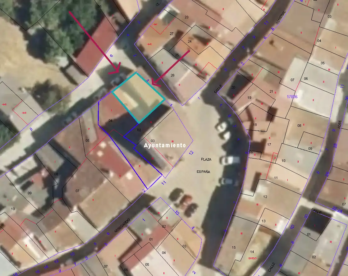 Wohnung zum Verkauf in Calle Animas, 3, Palomero