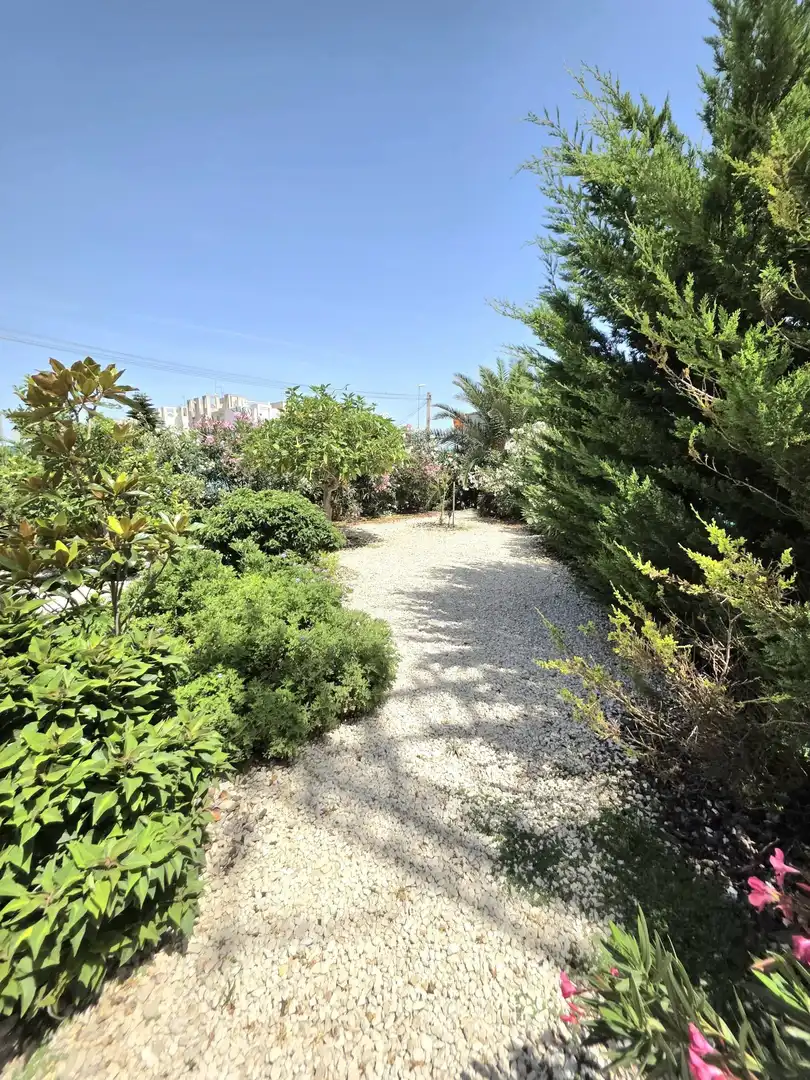 Jardí de Casa o xalet en venda en Torrevieja amb Aire condicionat, Jardí privat i Terrassa
