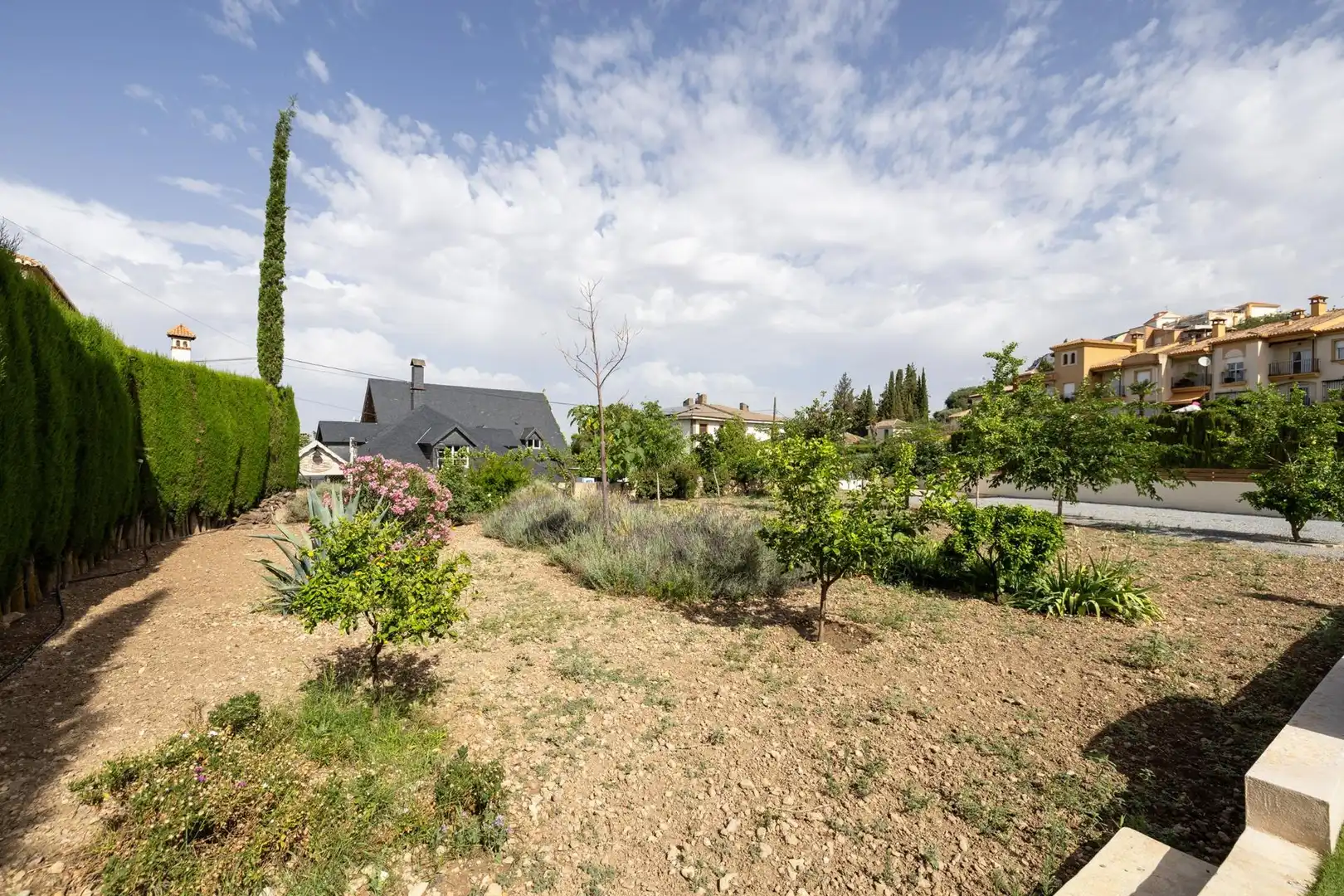 Lands and plots for sale in Carretera Nueva 40, imagen 15