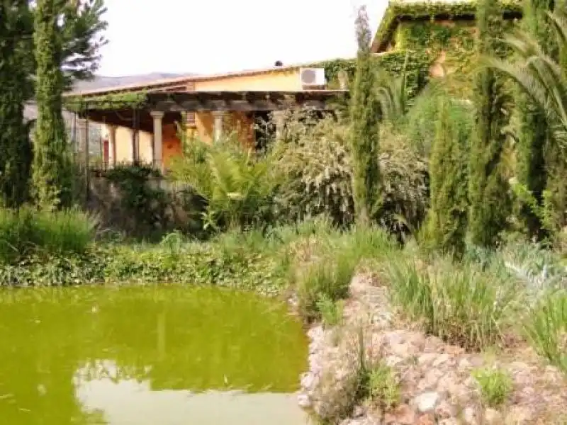 Jardí de Casa o xalet en venda en Fondón amb Aire condicionat i Calefacció