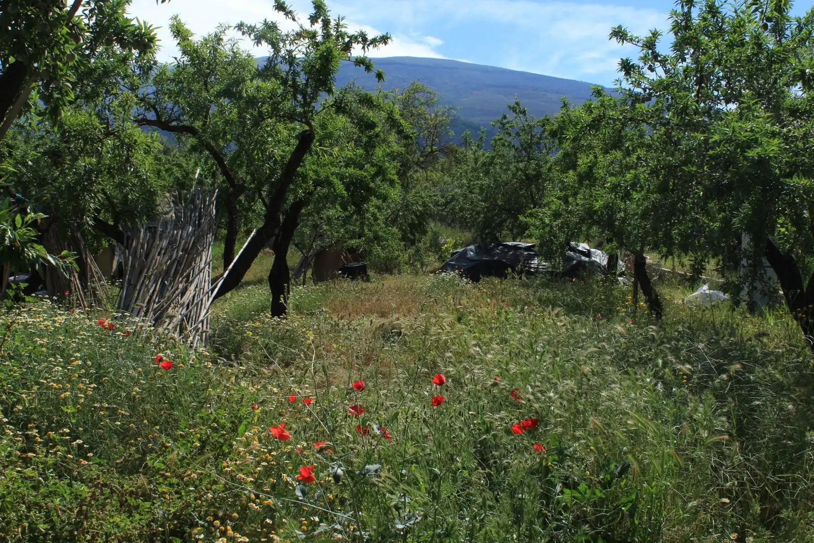 Jardín de Terreno en venta en Nigüelas