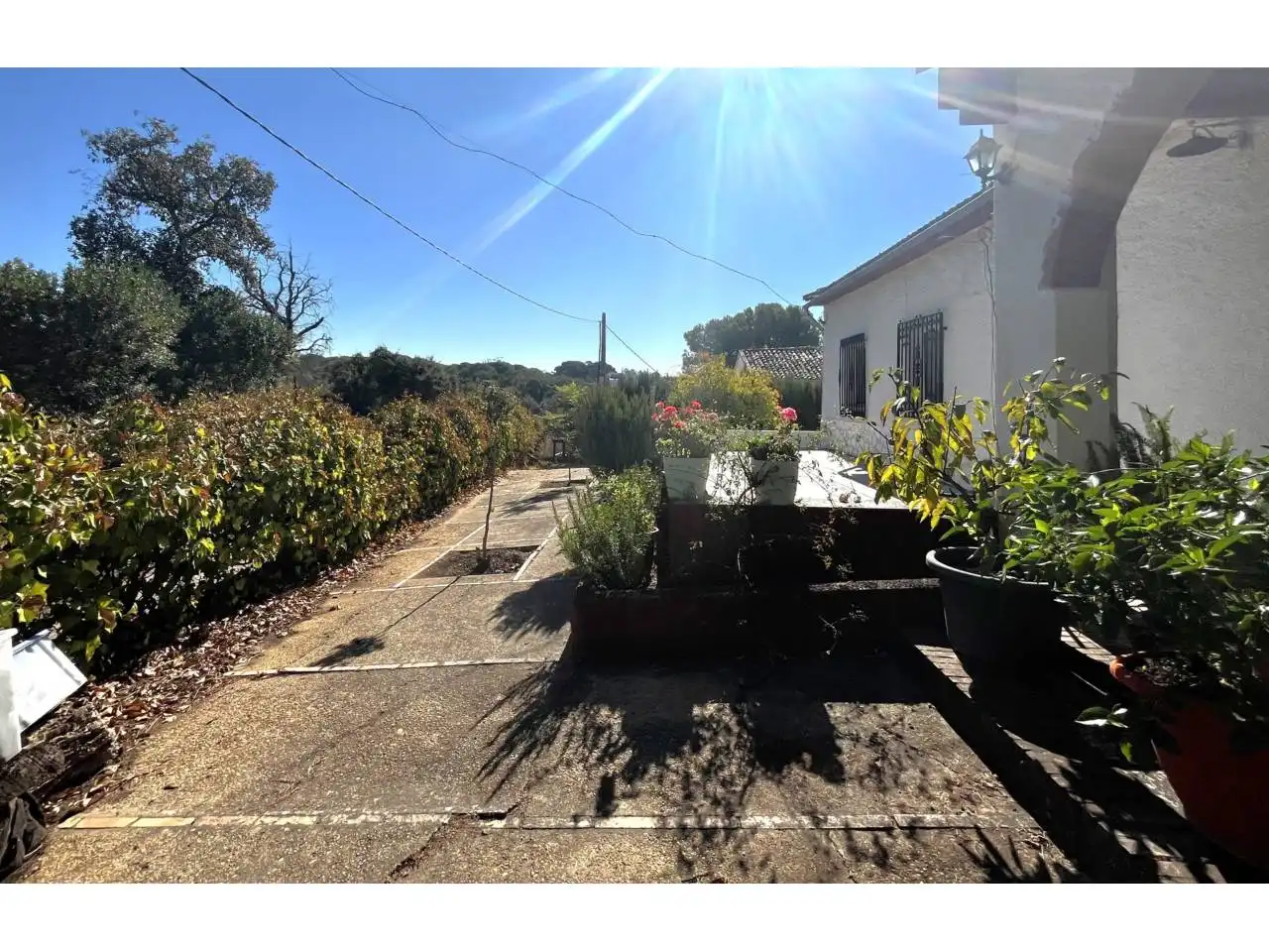 Vista exterior de Casa o chalet en venta en Valverde del Camino con Jardín privado, Terraza y Amueblado