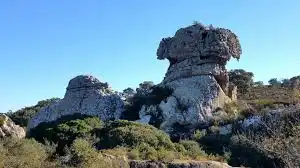 Jardí de Casa o xalet en venda en Los Barrios amb Aire condicionat, Jardí privat i Terrassa