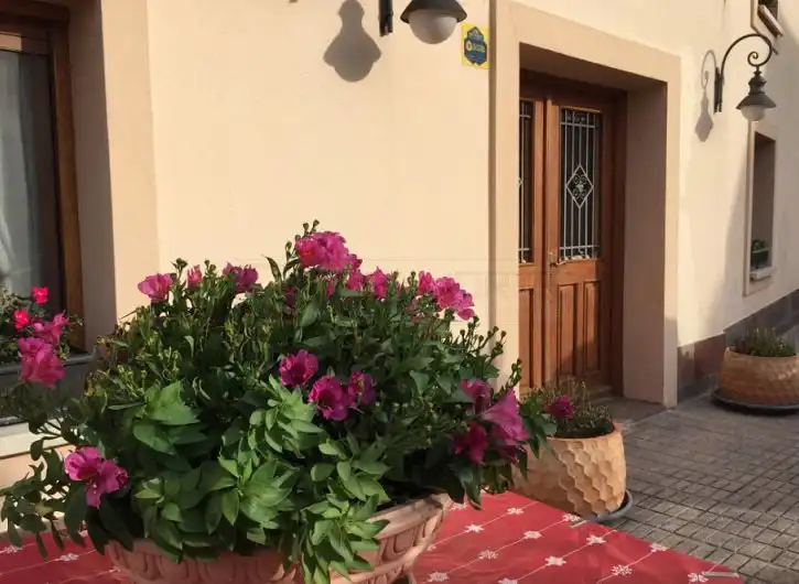 Garden of Detached homes for sale in Vitoria - Gasteiz  with Heating, Private garden and Parquet flooring