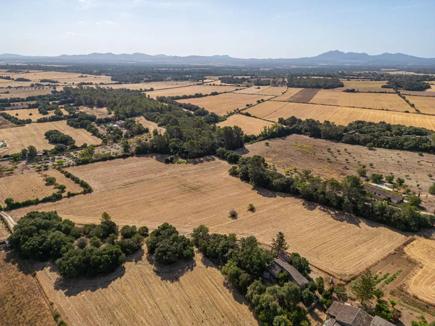 Terrain rustique à vendre à Diseminado Son Mora 199, imagen 14