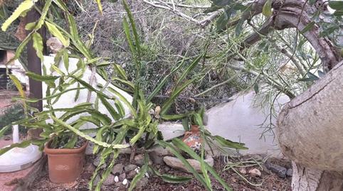 Foto 3 de Casa o xalet en venda a Calle Callejos Grandes, 0b, Pozo de los Frailes - Presillas - Albaricoques, Níjar
