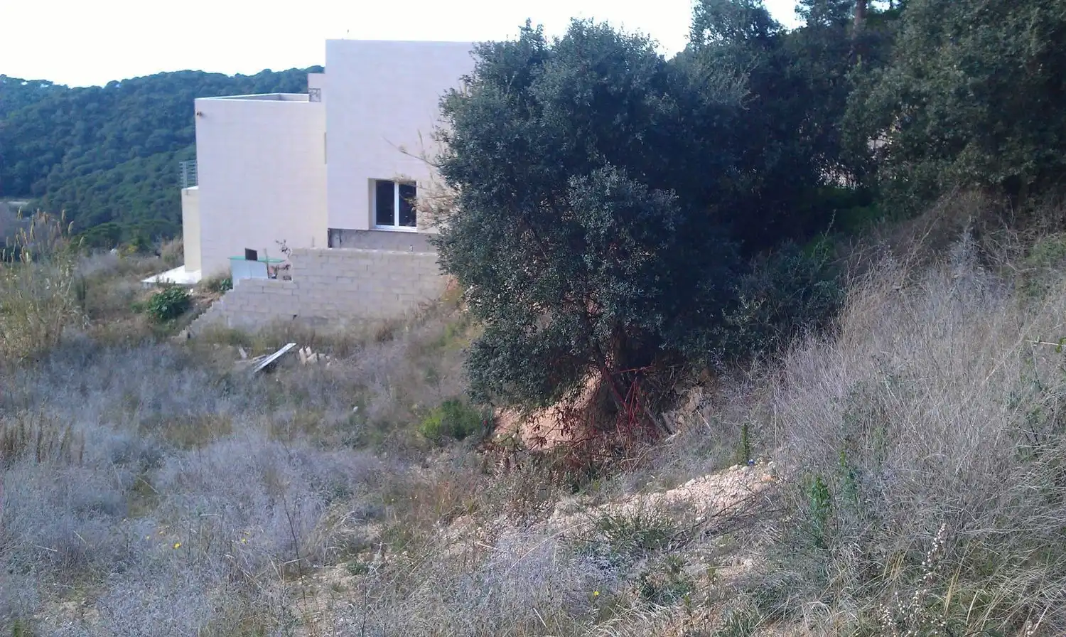Terrenos y solares en venta en Serra Brava, imagen 4