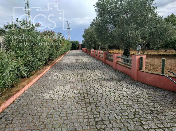 Vista exterior de Finca rústica en venta en Alcalá de Guadaira con Piscina y Amueblado
