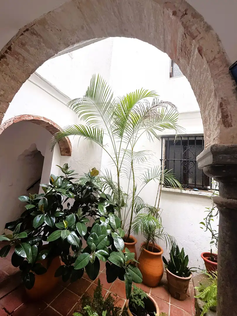 Àtic en venda a Tarifa ciudad, imagen 30