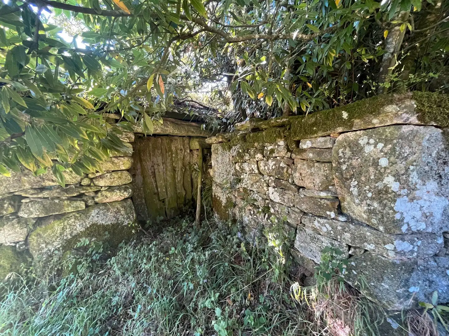 Casa o chalet en venta en Piñor con Trastero y Amueblado