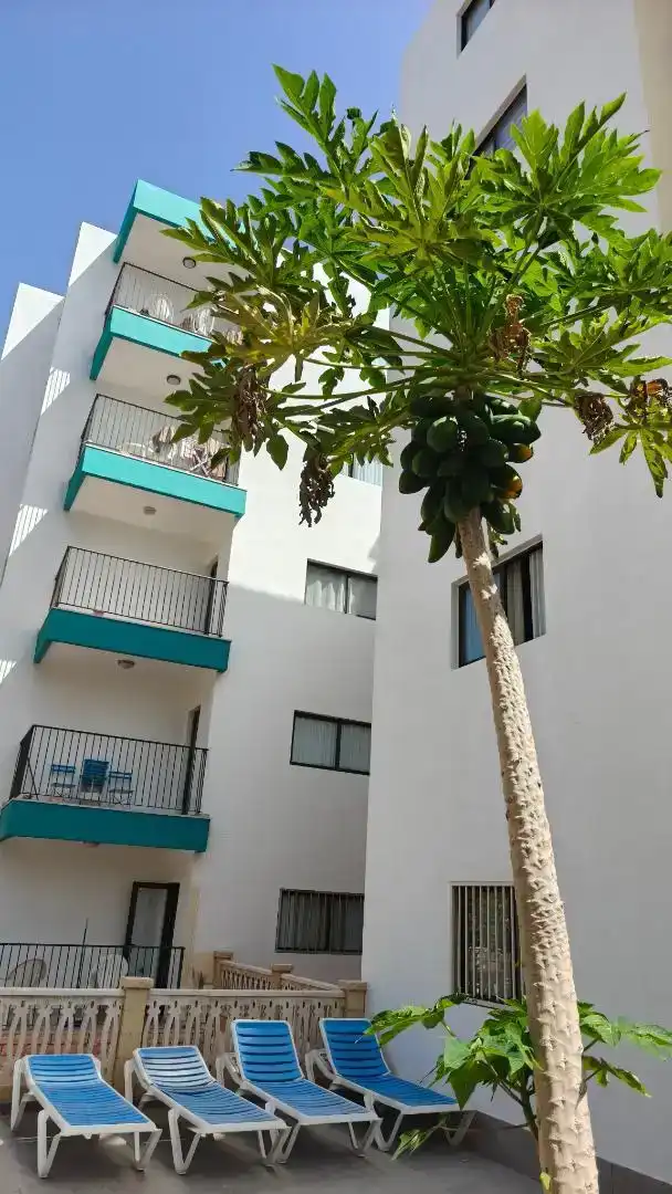 Vista exterior de Pis en venda en San Bartolomé de Tirajana amb Aire condicionat, Piscina i Balcó