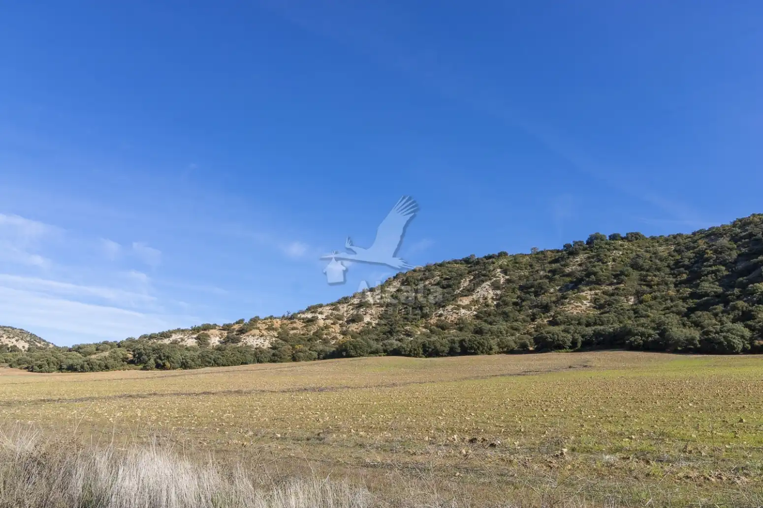 Terreno en venta en Yebes