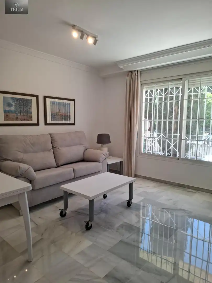 Sala d'estar de Pis de lloguer en Granada amb Calefacció i Moblat