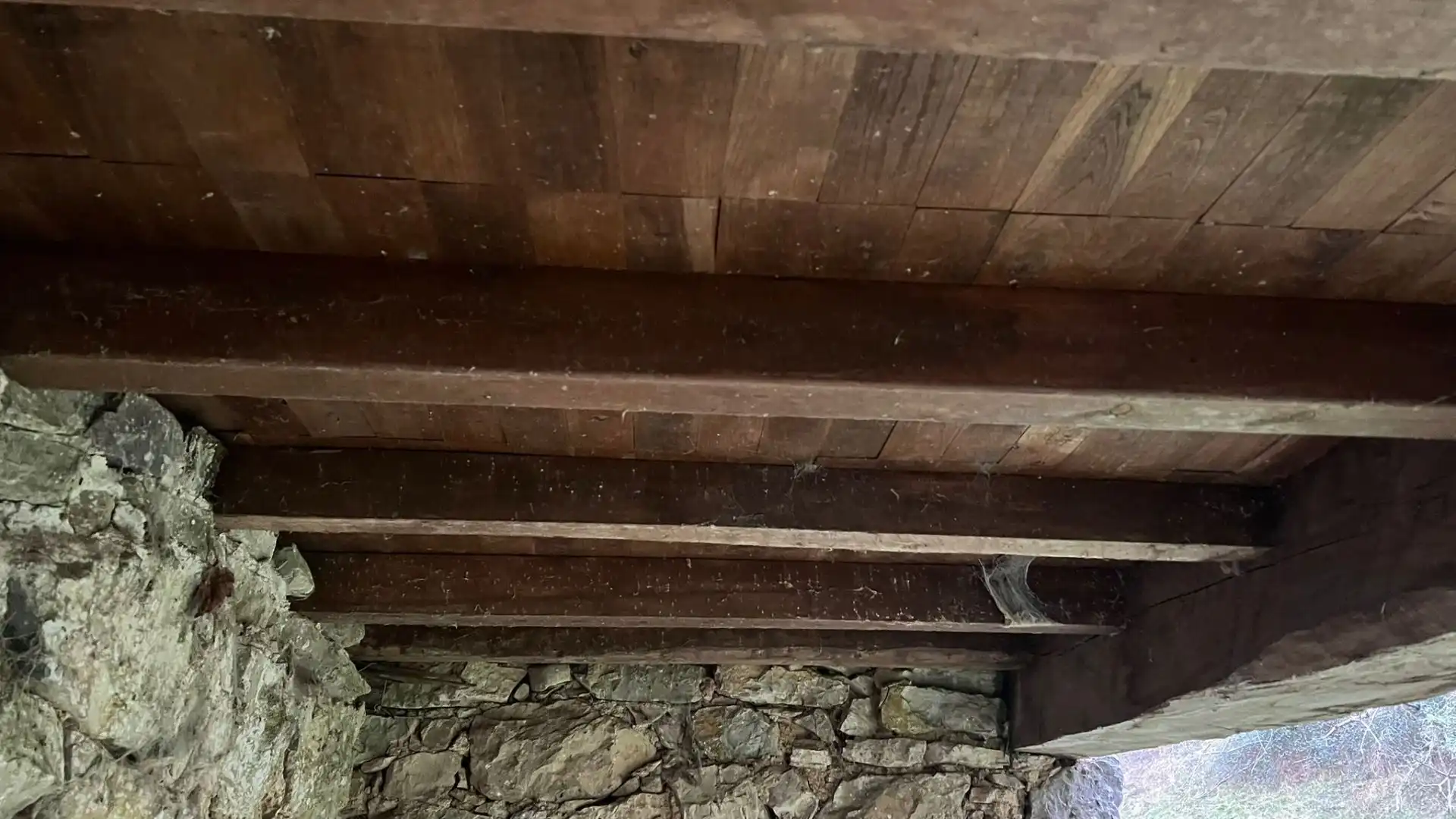Terreno rustico in vendita a Cangas de Onís, imagen 16