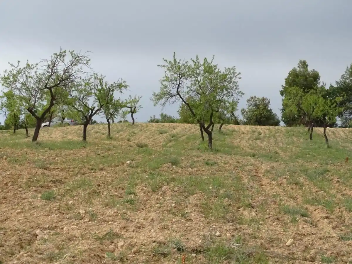 Finca rústica en venta en Cretas