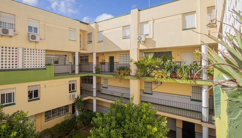 Foto 1 de Dúplex en venta en Calle Estrella Polar, Pino Montano - Consolación, Sevilla