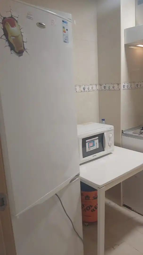 Mini appartamento in affitto a Calle Cardenal Mendoza, imagen 6