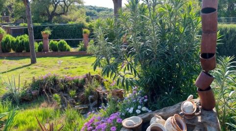 Photo 5 of House or chalet for sale in Miralvalle - Av. Virgen del Puerto - La Data, Cáceres