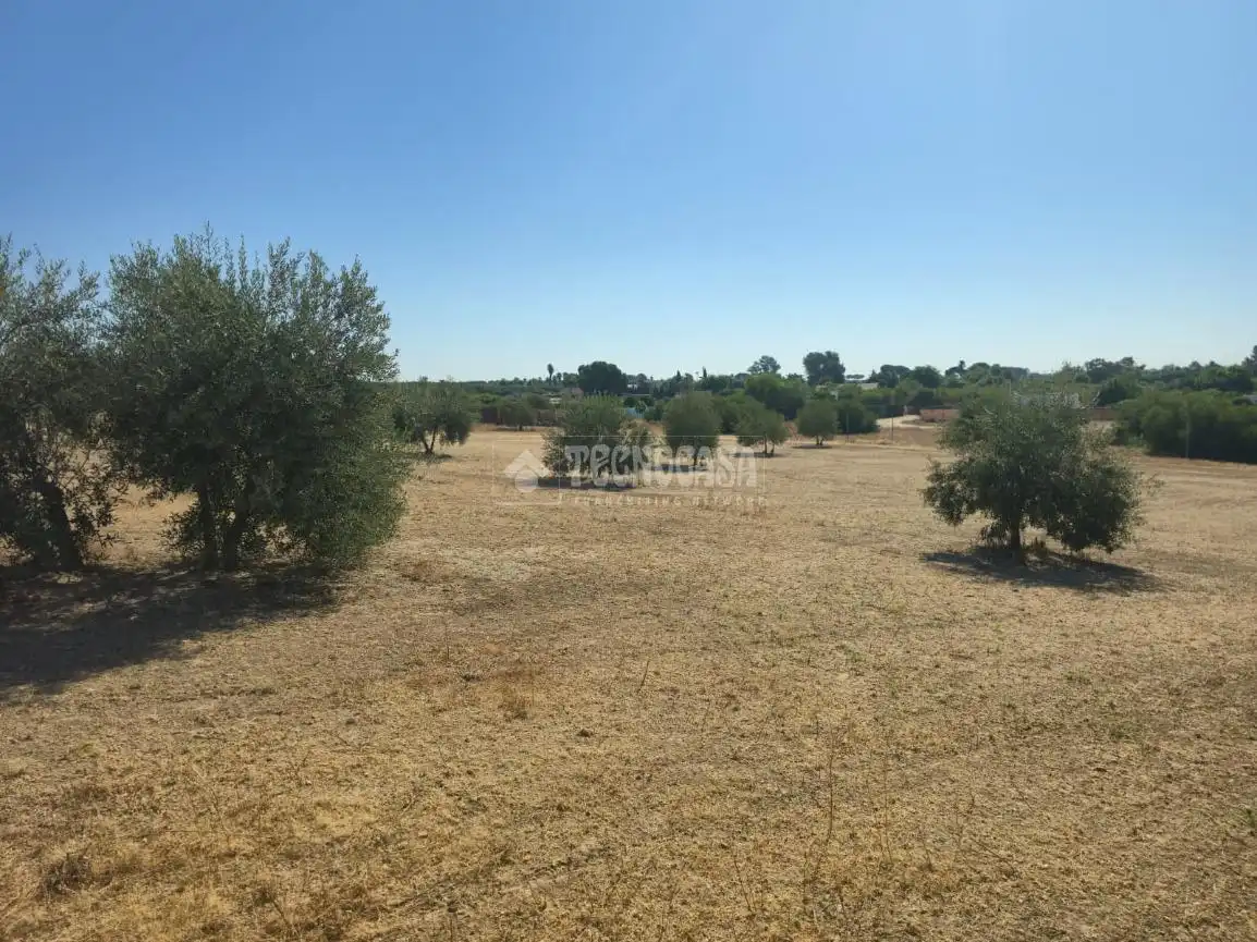 Rural land for sale in Arahal, imagen 4