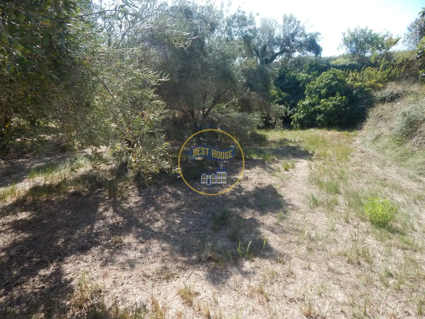 Terrain rustique à vendre à Sant Josep - Zona Hospital, imagen 22