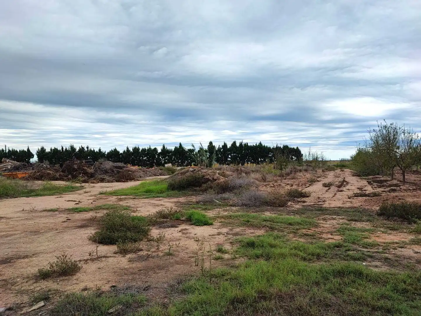 Lands and plots for sale in Sueca ciudad, imagen 8
