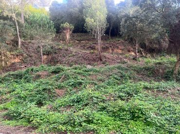 Wohnbaugrundstück zum Verkauf in Lloret Residencial - Montlloret