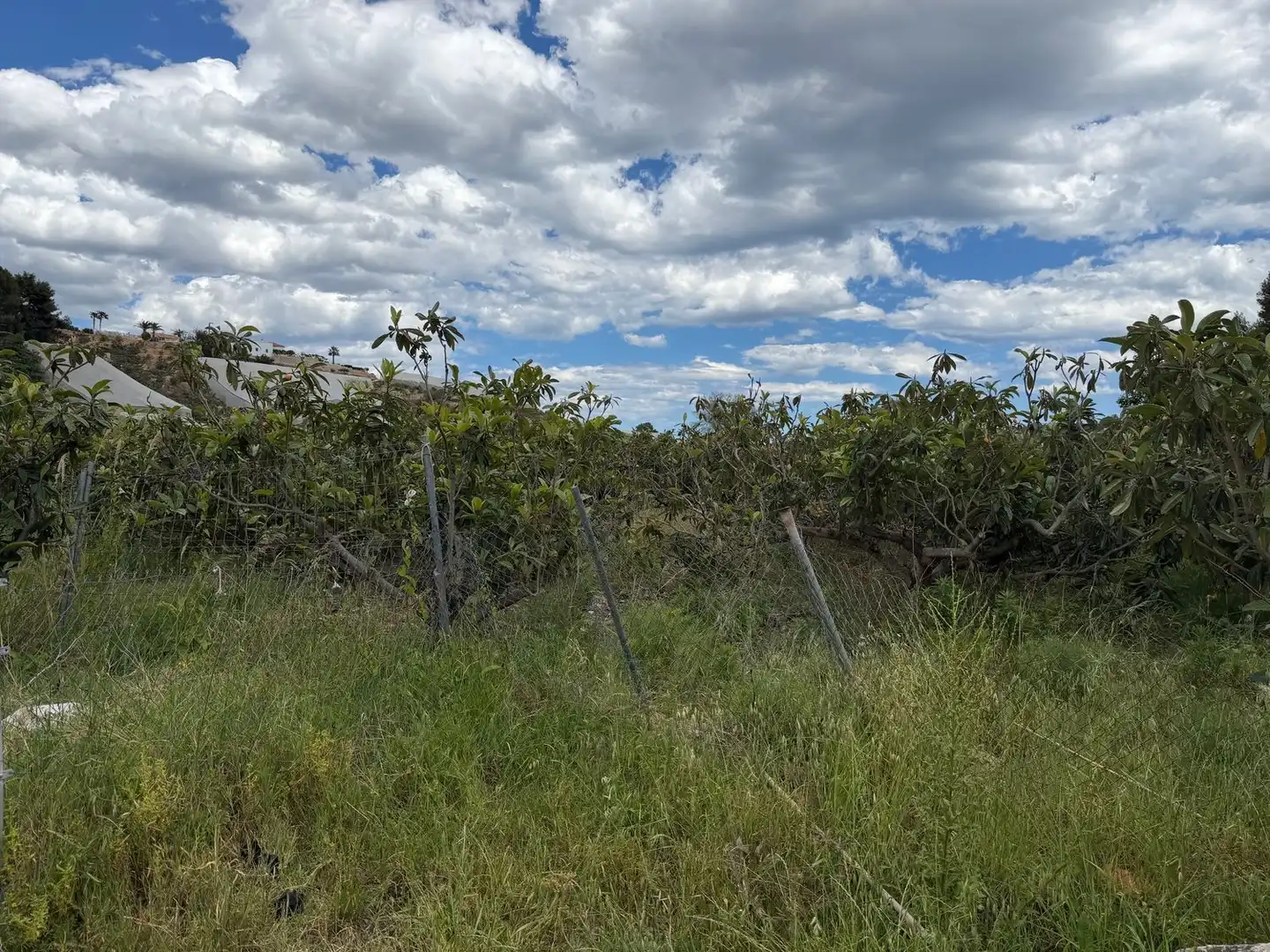 Finca rústica en venda en La Nucia amb Traster