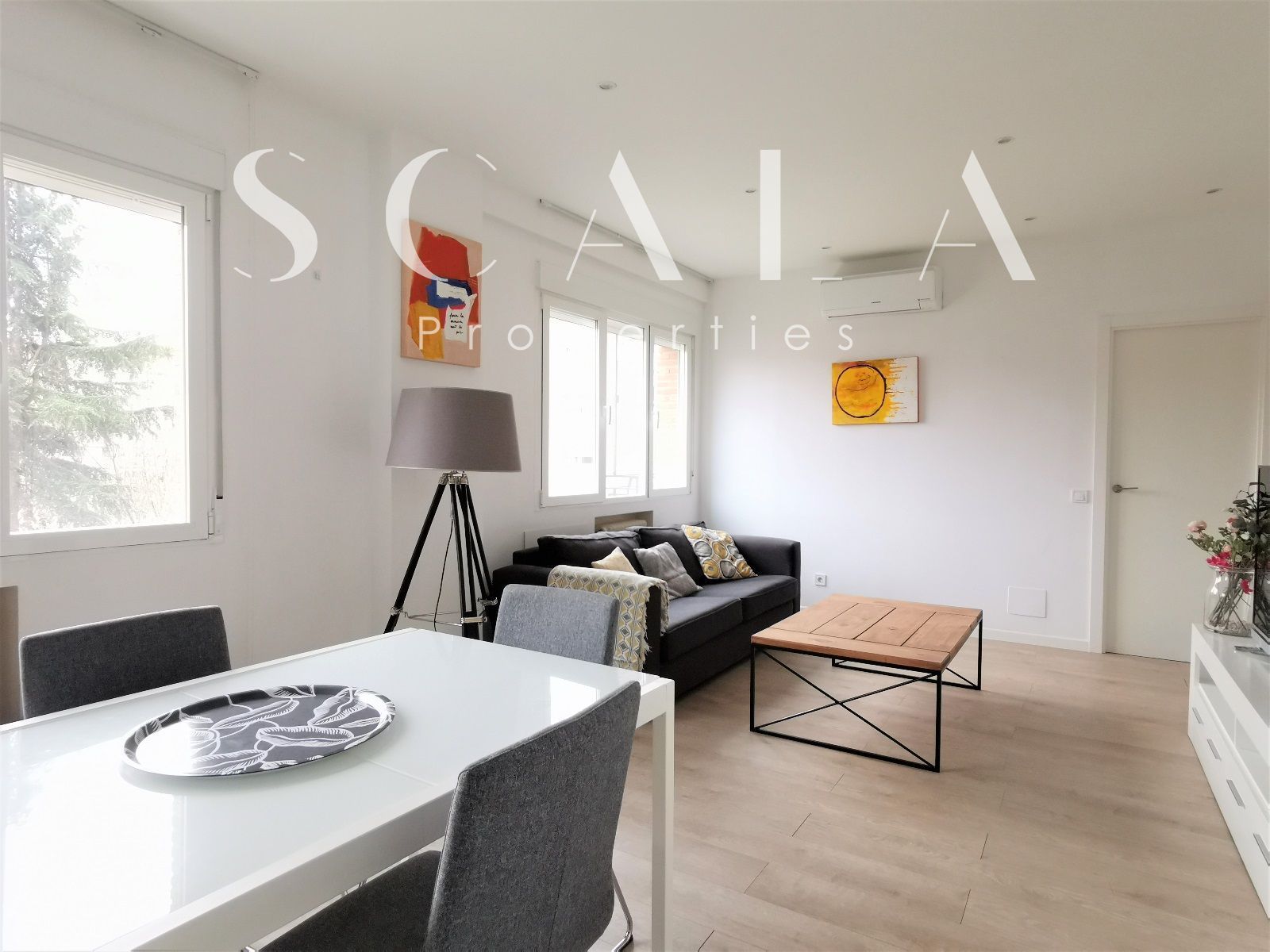 Living room of Flat to rent in  Madrid Capital  with Air Conditioner, Heating and Furnished