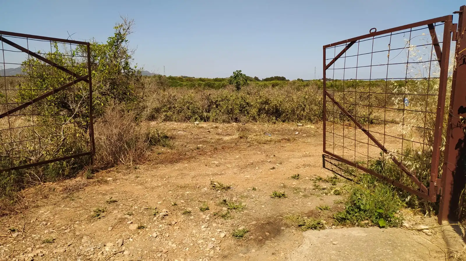Terreno rustico in vendita a Moncada, imagen 4
