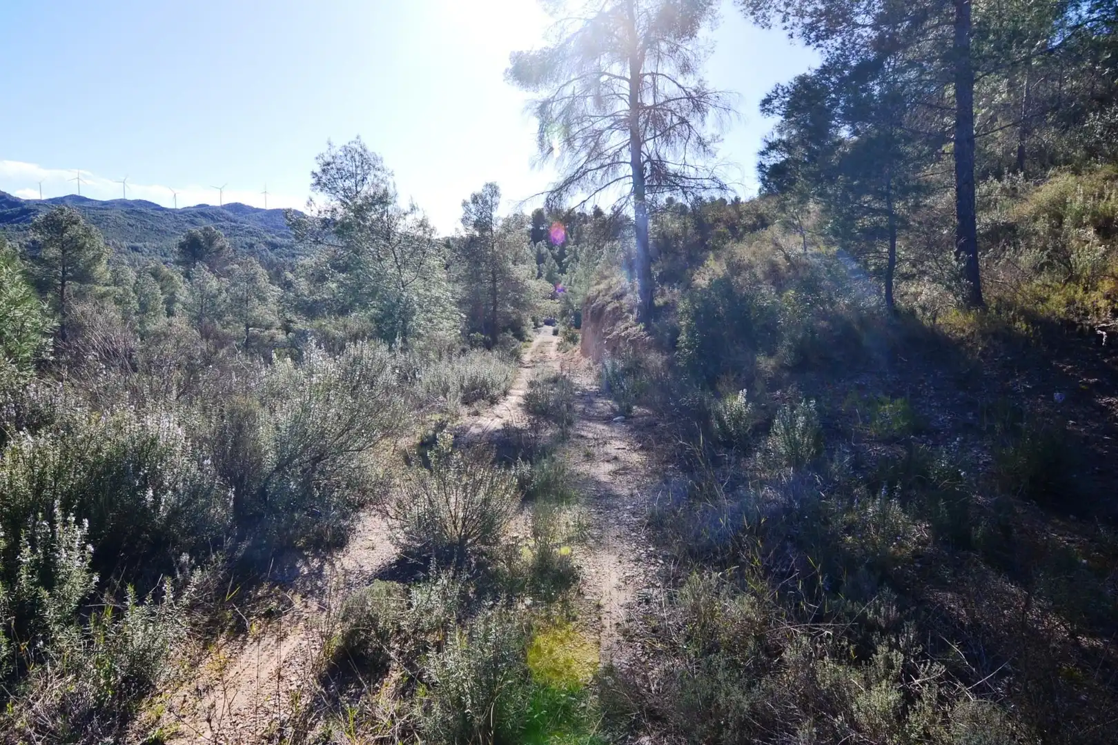 Rural land for sale in Ascó, imagen 41
