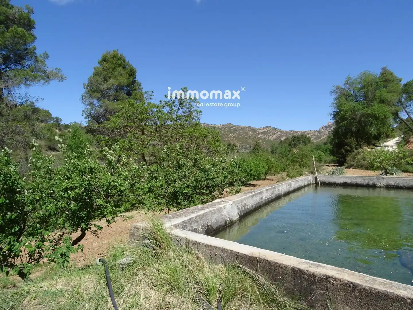 Rural land for sale in 32