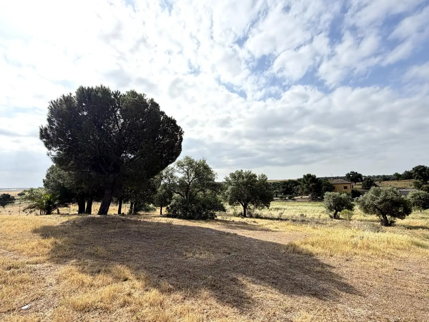 Terrain rustique à vendre à La Haba, imagen 33