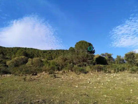 Casa rústica en venda a Gaucín, imagen 6